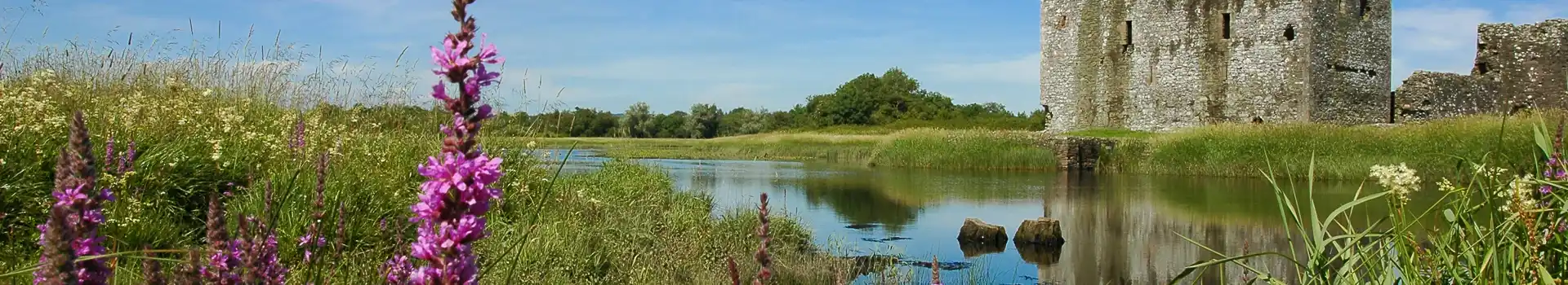 Castle Douglas campsites