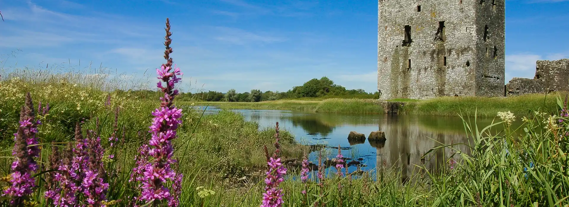 Castle Douglas campsites