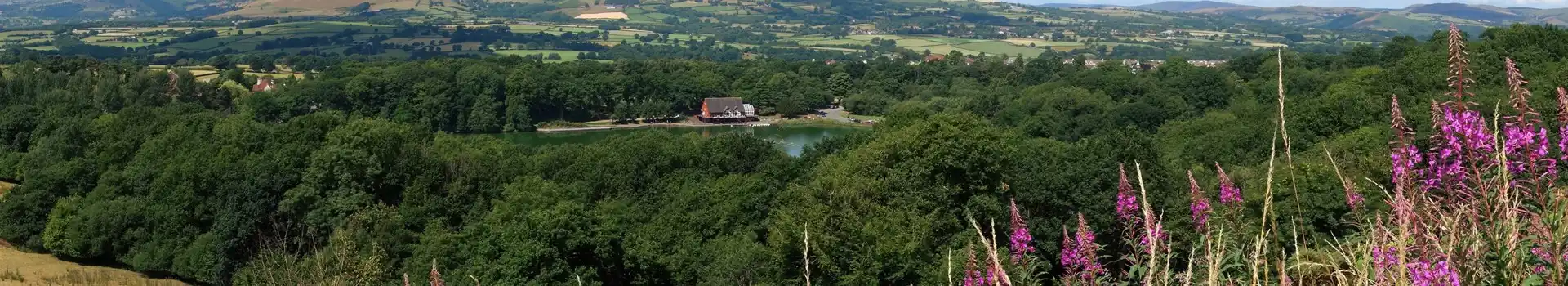 Llandrindod Wells campsites