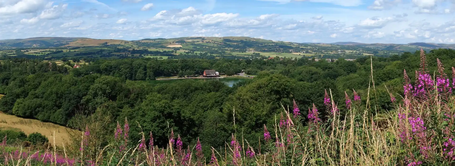 Llandrindod Wells campsites