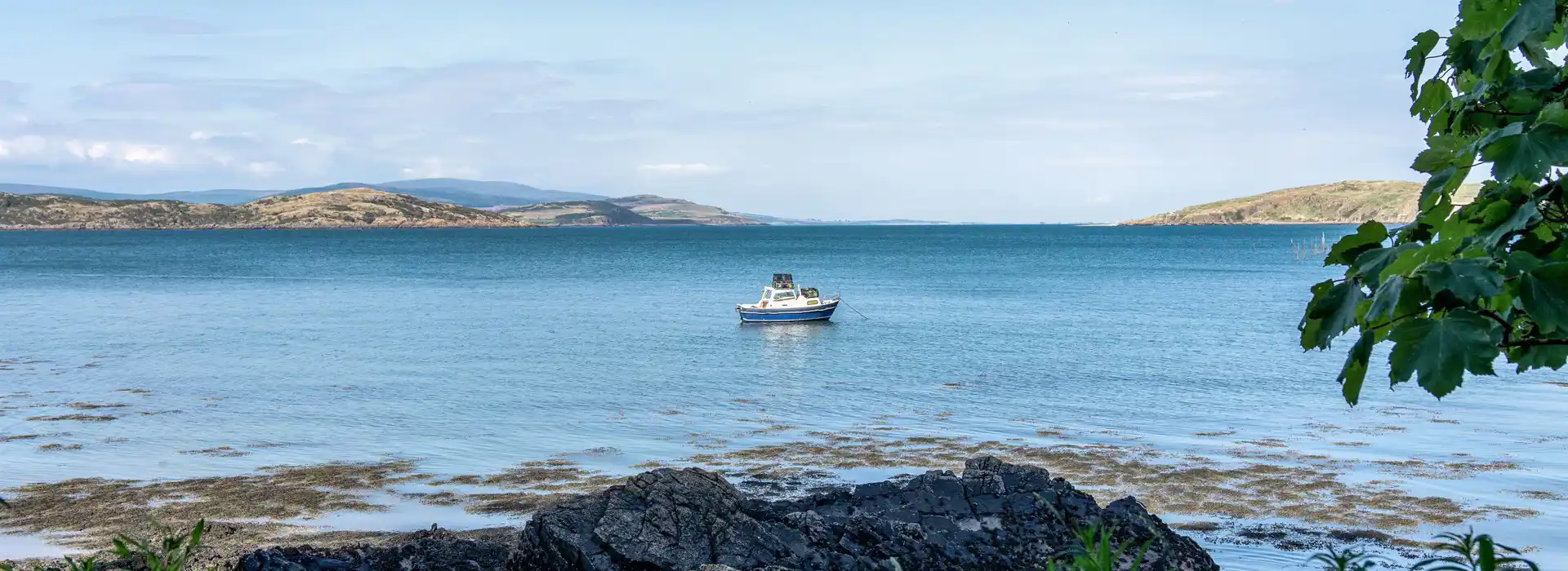 Dolbeattie campsites