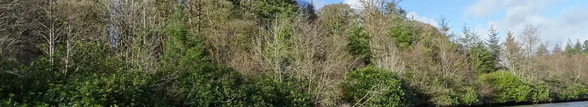 Lochgilphead campsites