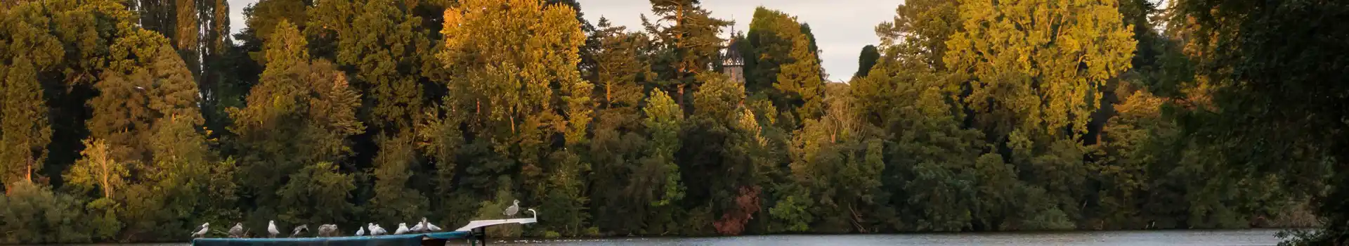 Campsites near Ellesmere