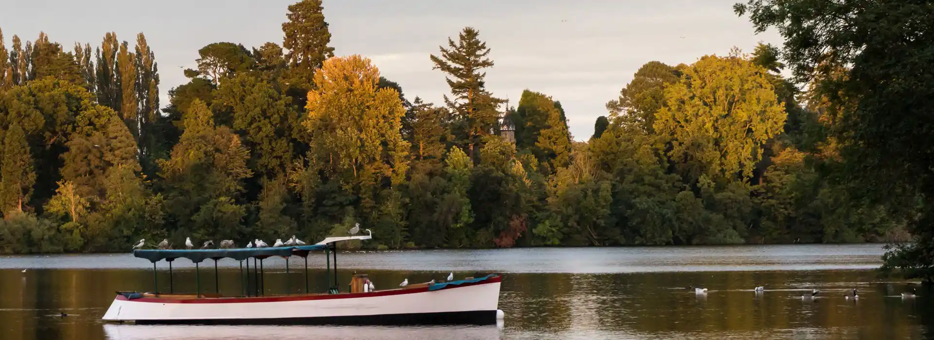 Campsites near Ellesmere 