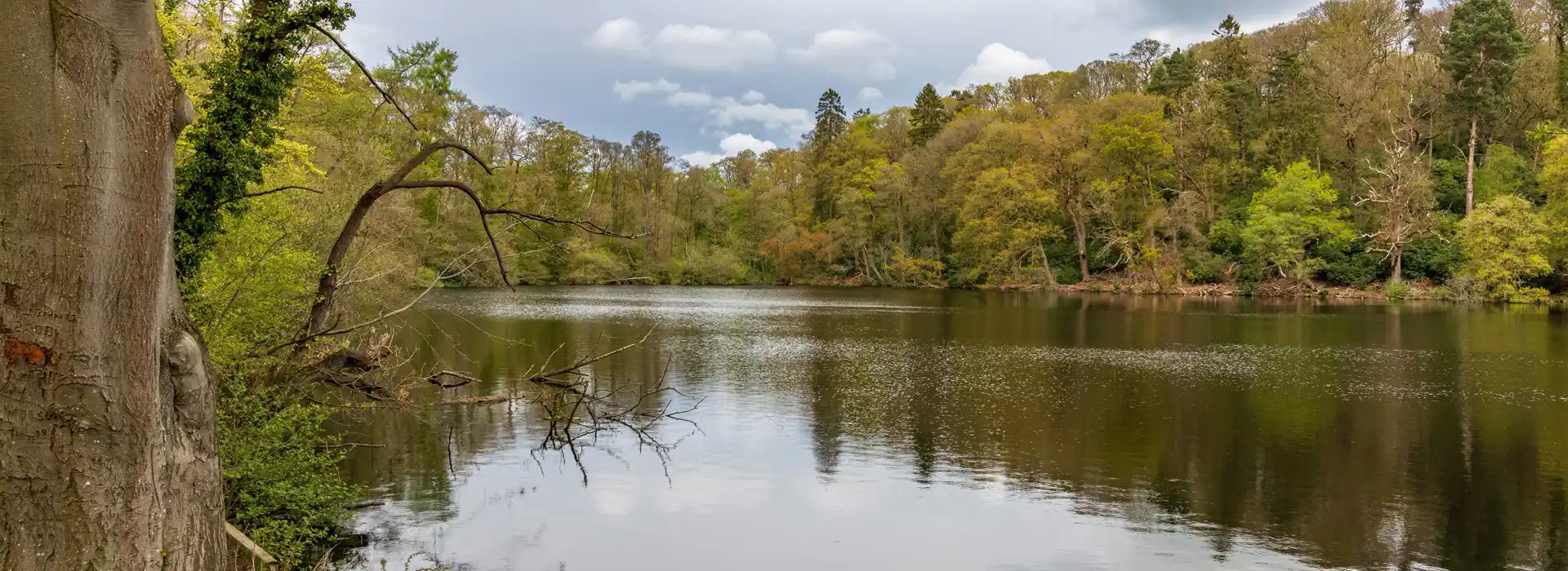 Ellesmere campsites