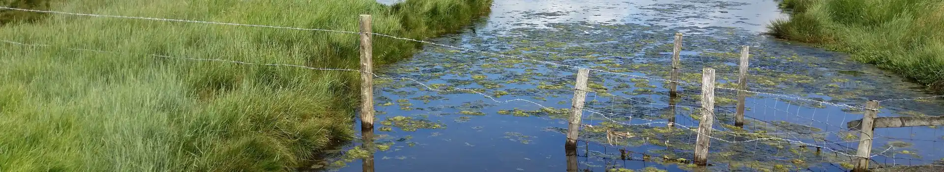 Heathfield campsites