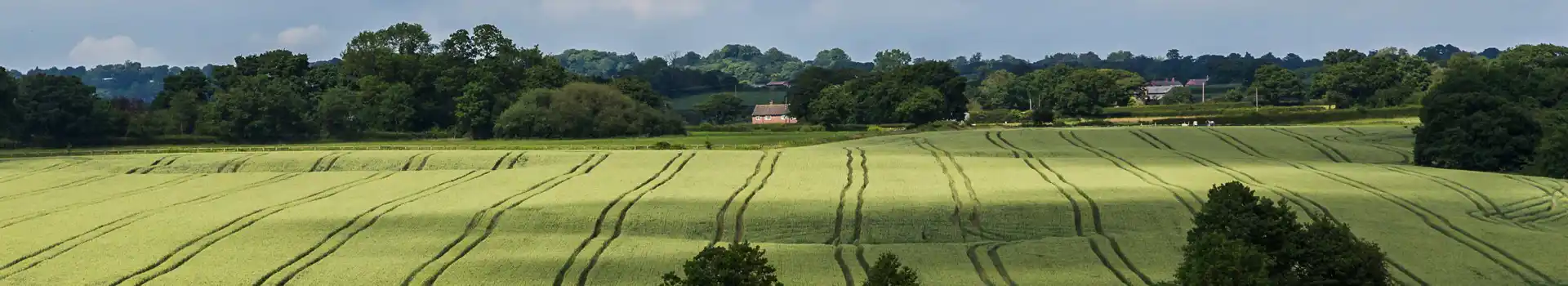 Tarporley campsites