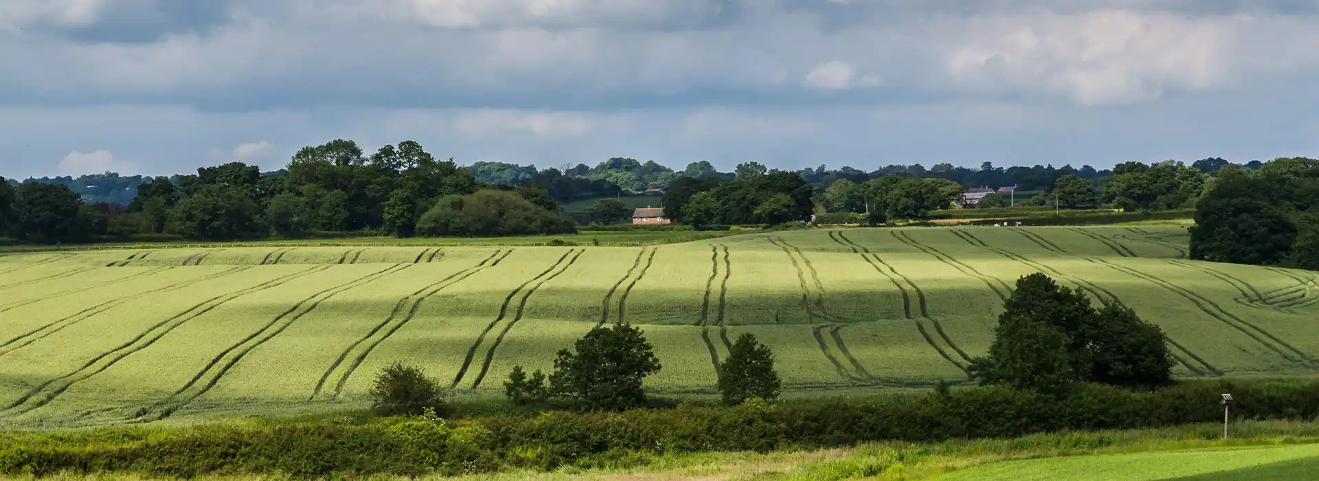 Tarporley campsites