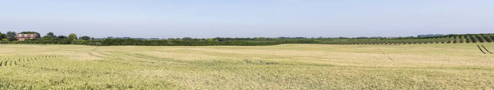 Sittingbourne campsites