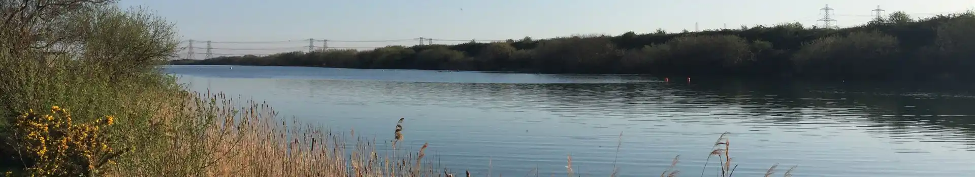 Lydd campsites