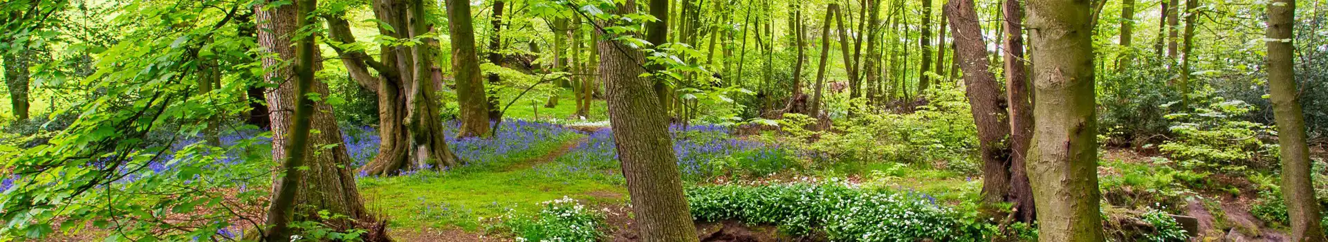 Leyland campsites
