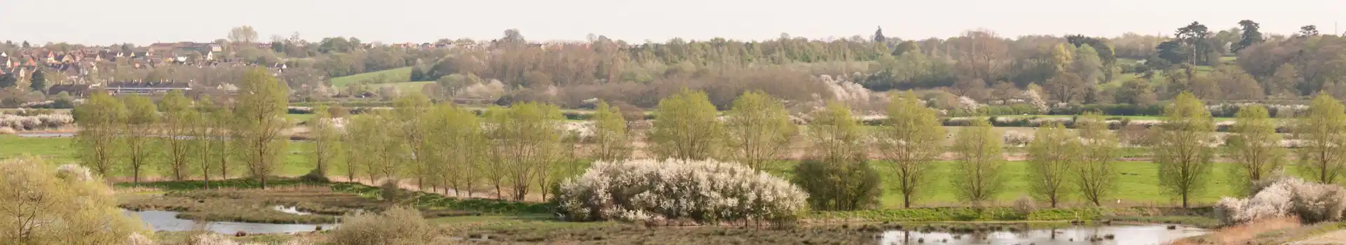 Polstead campsites