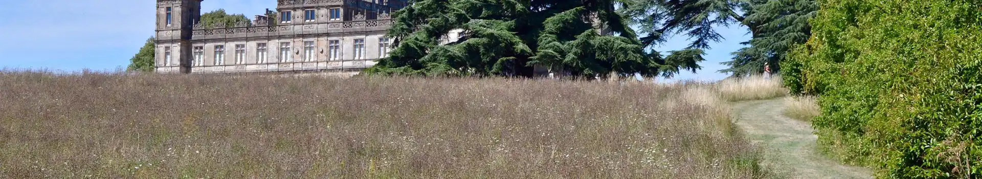 Highclere campsites