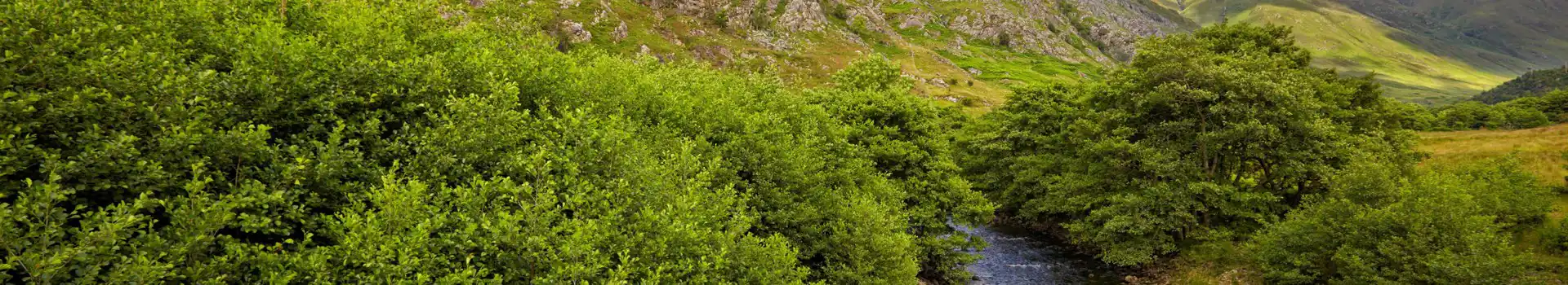 Shiel Bridge campsites
