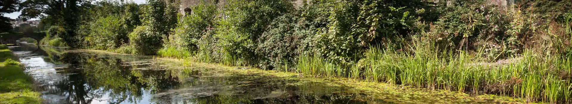 Neath campsites