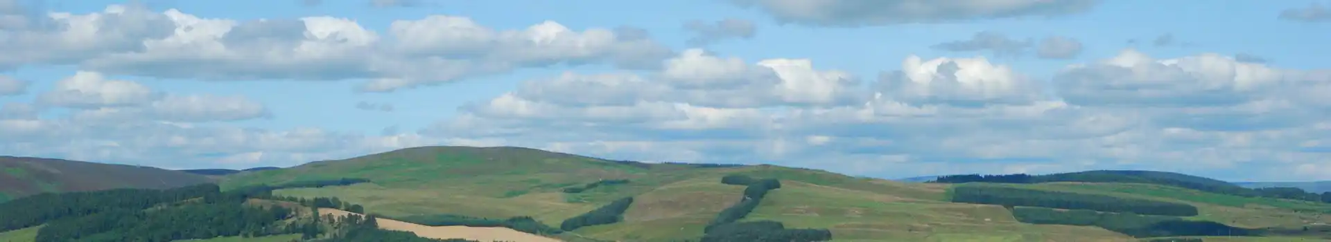 Selkirk campsites
