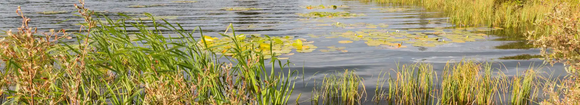 Aboyne campsites