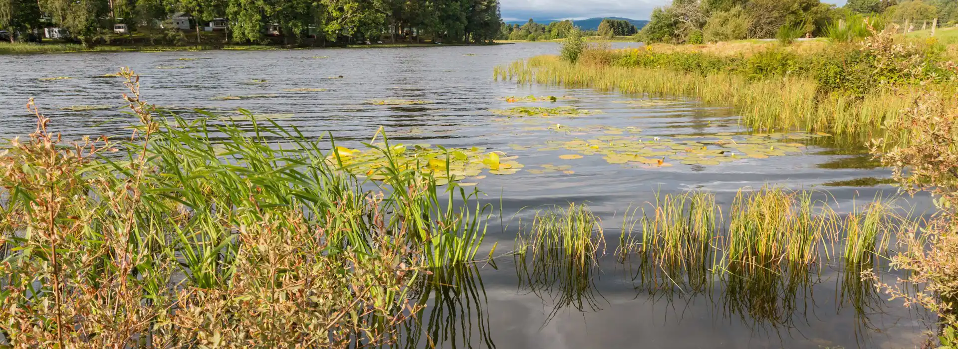 Aboyne campsites