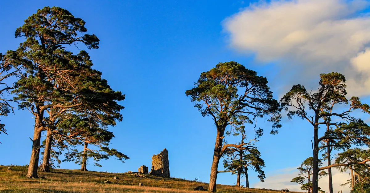 4 Dingwall campsites Best camping in Dingwall, Highlands