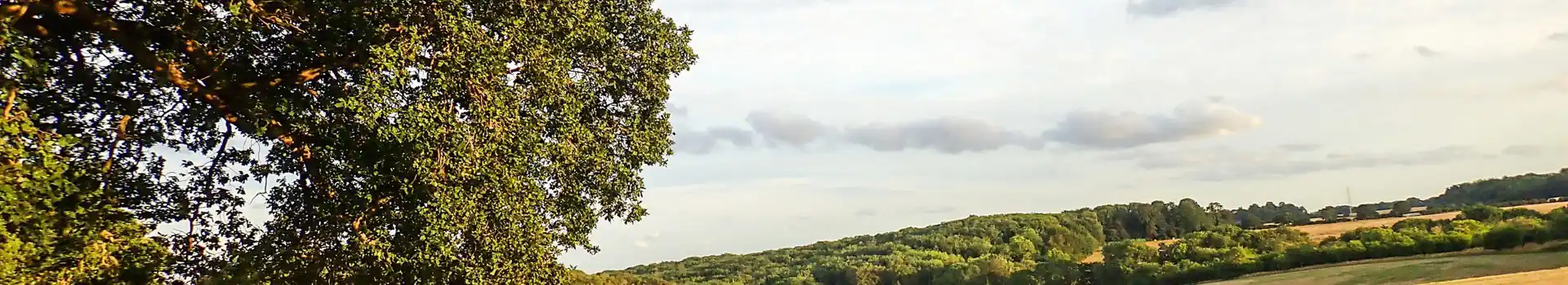 Chorleywood campsites