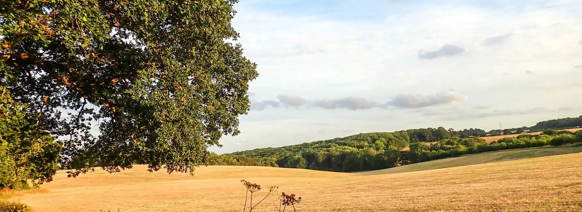 Chorleywood campsites