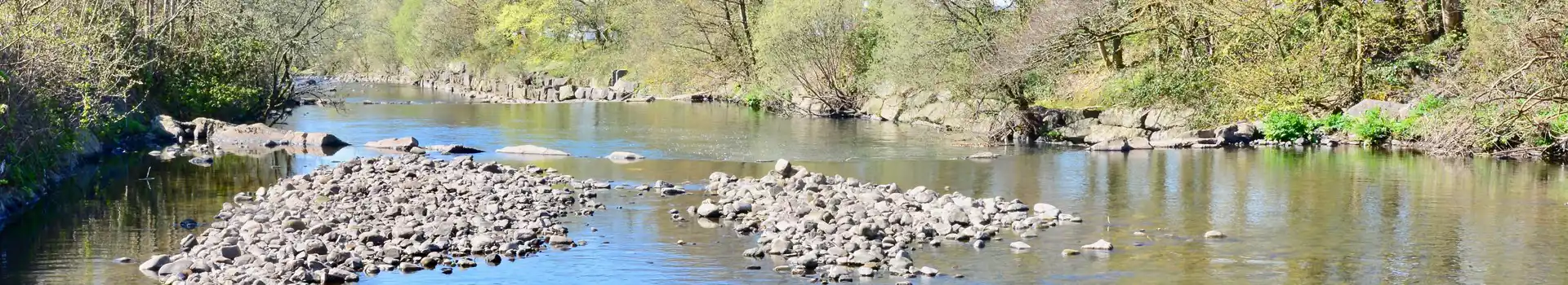 Ammanford campsites