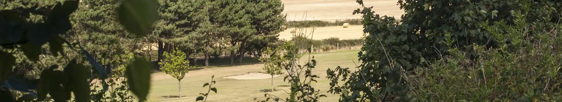 Beeston Regis campsites