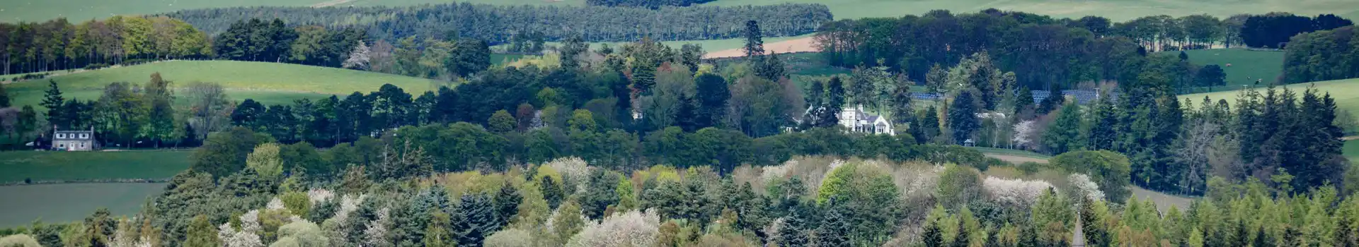 Tarland campsites