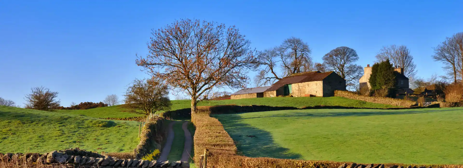 Staveley campsites