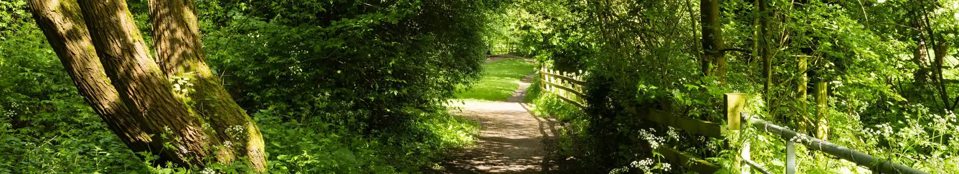 Wellesbourne campsites