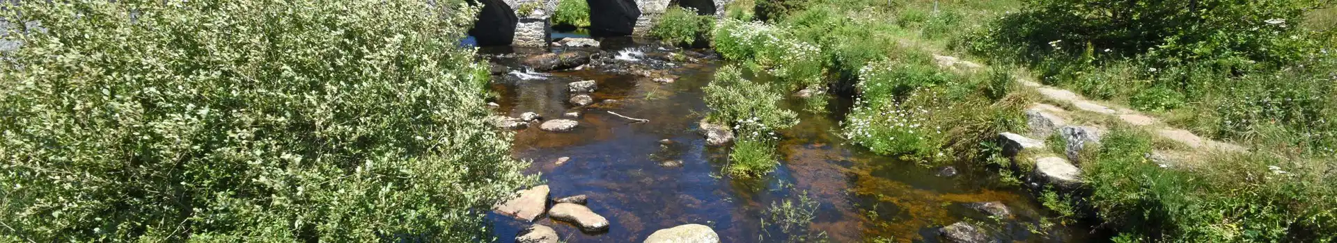 Princetown campsites