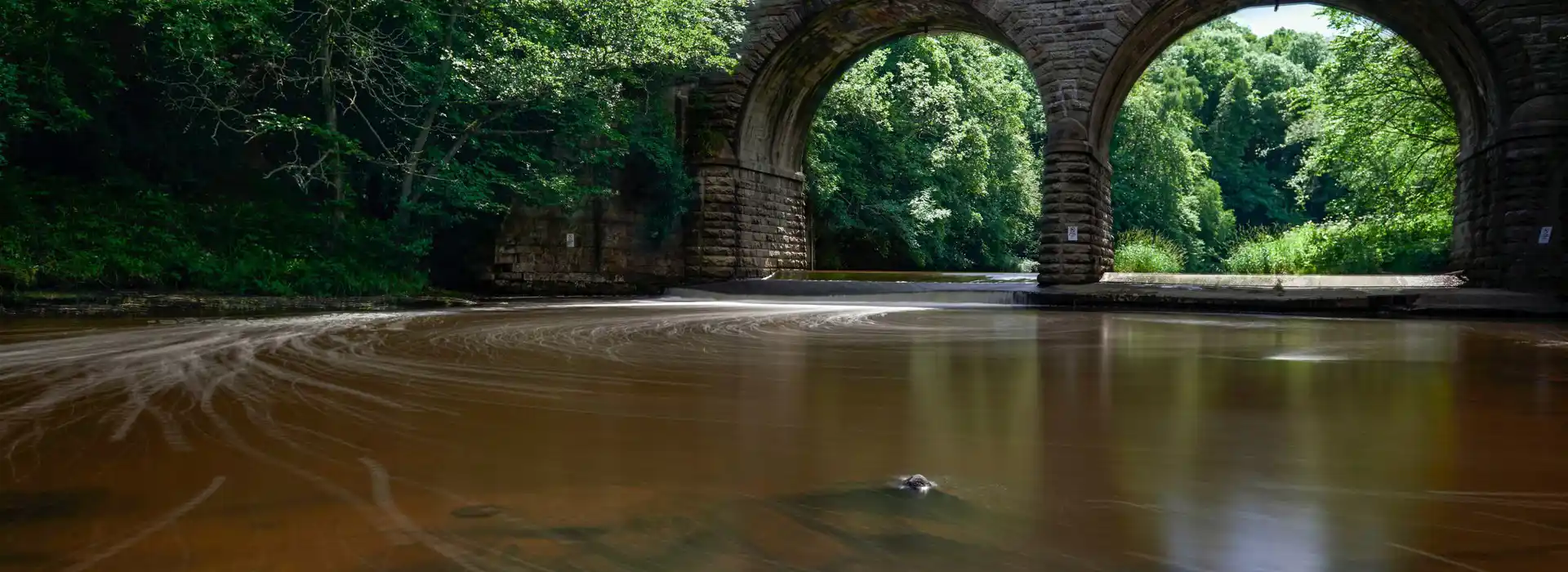 Rowlands Gill campsites