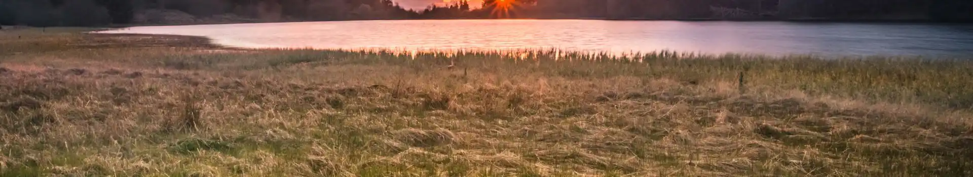 Kinloch campsites