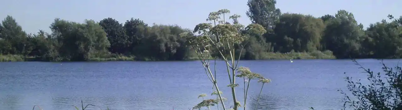 Emberton campsites