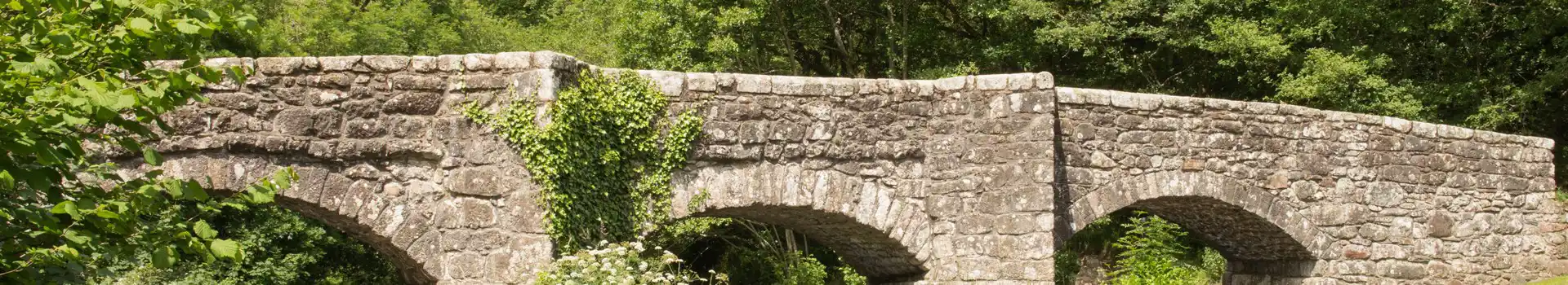 Drewsteignton campsites