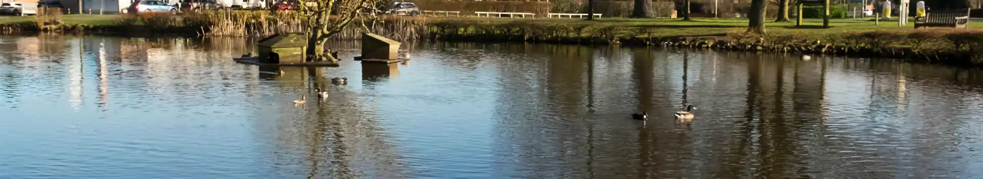 Hnaley Swan campsites