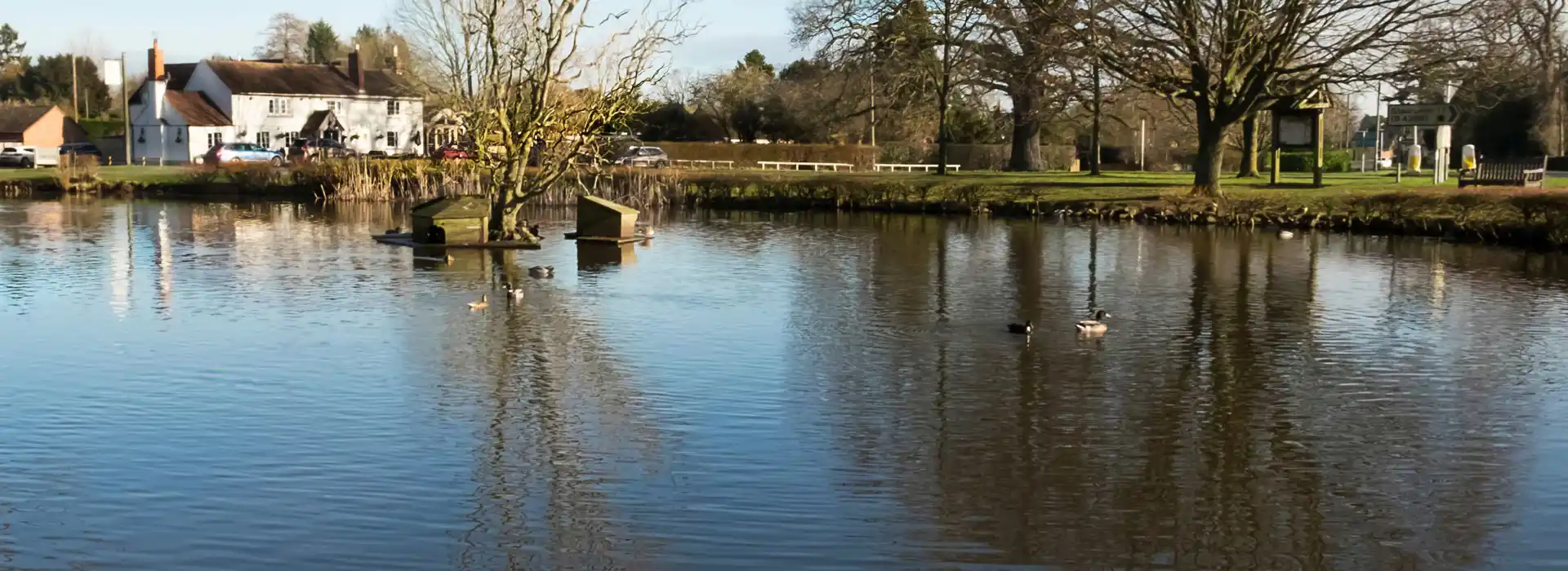 Hnaley Swan campsites Hnaley Swan campsites