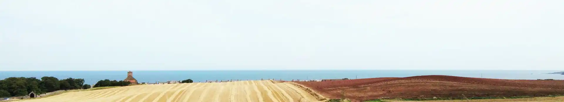 Coldingham campsites