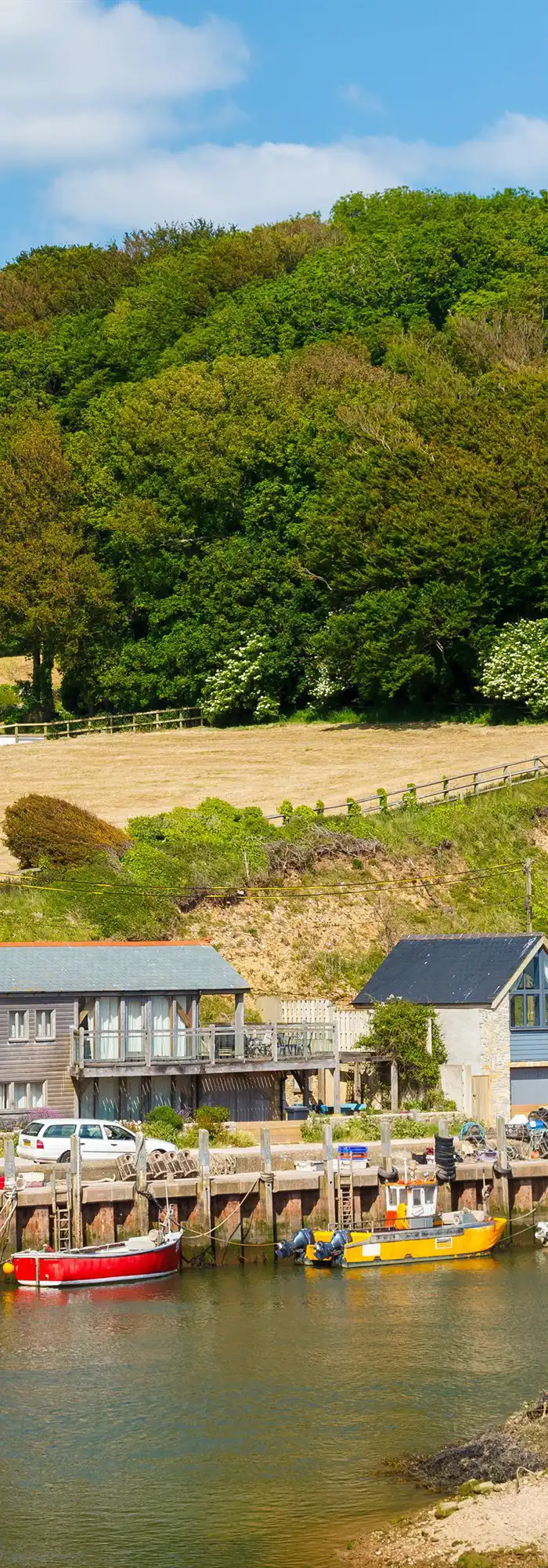 35+ Axmouth campsites Best camping in Axmouth, Devon