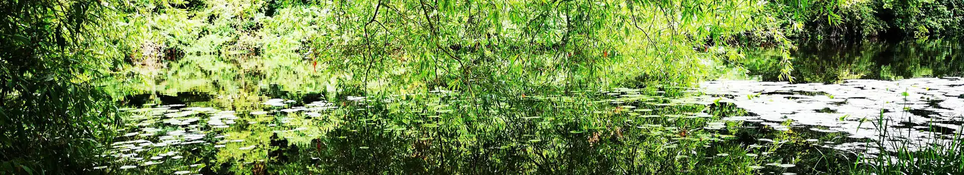 Barrow upon Soar campsites