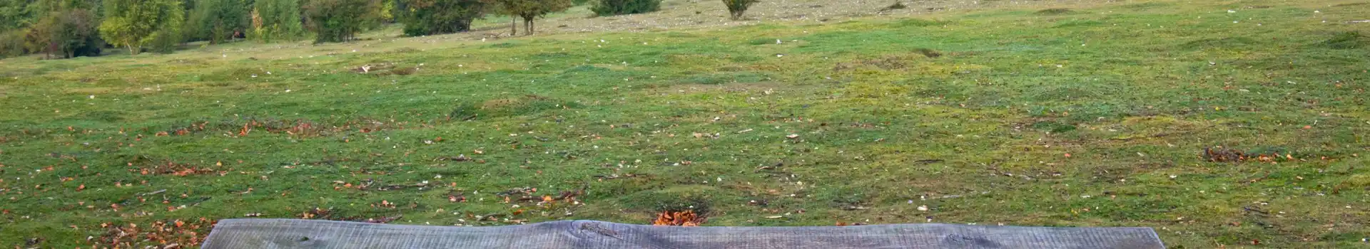 Watlington campsites