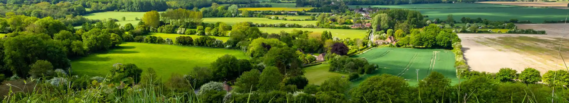 Wye campsites