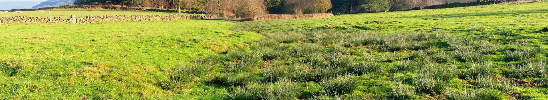 Birchover campsites