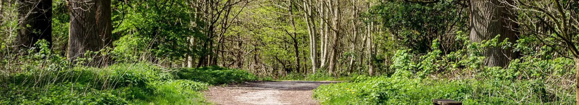 Burgess Hill campsites