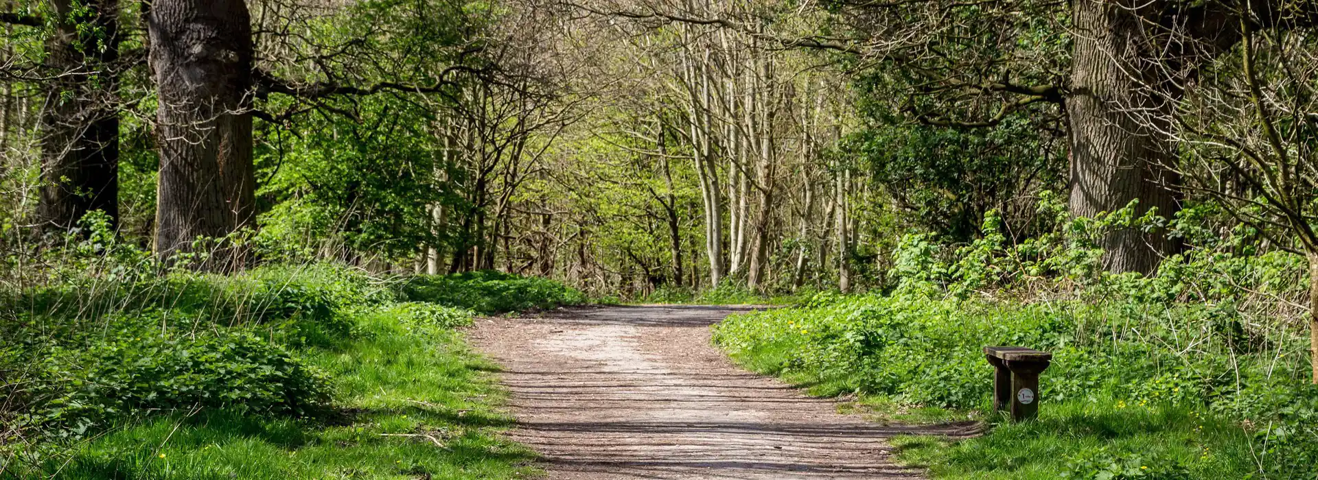 Burgess Hill campsites