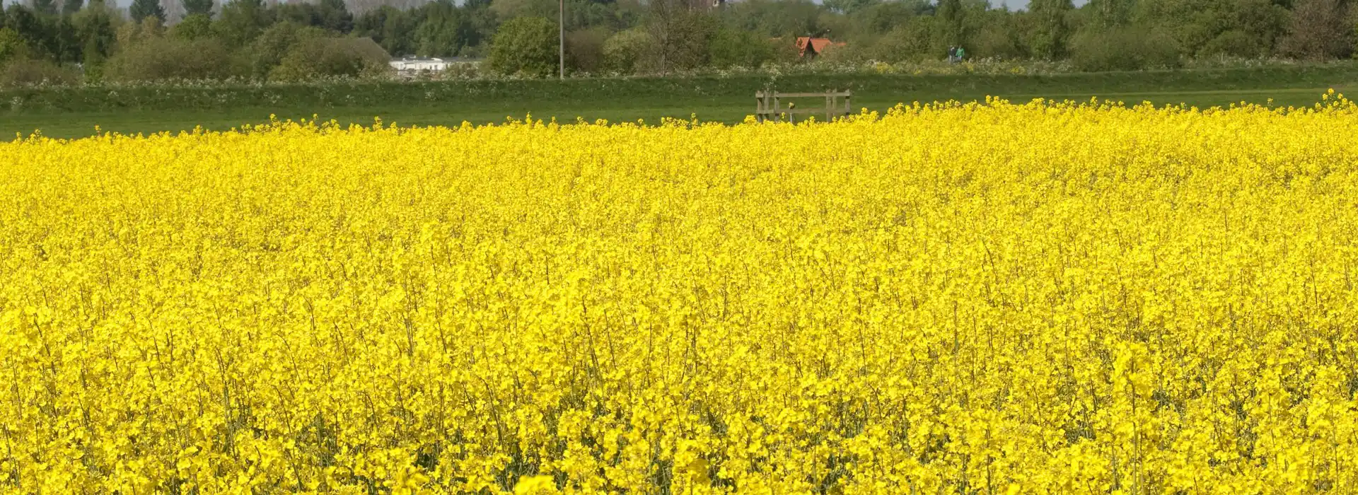 Coningsby campsites