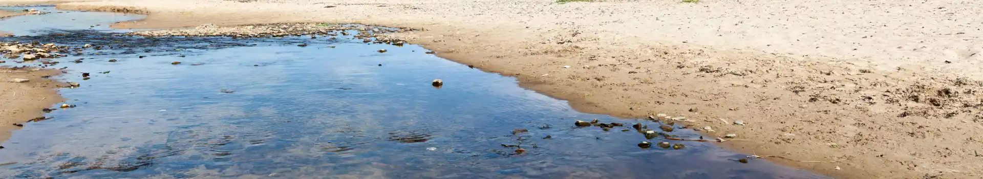 Freshwater East campsites