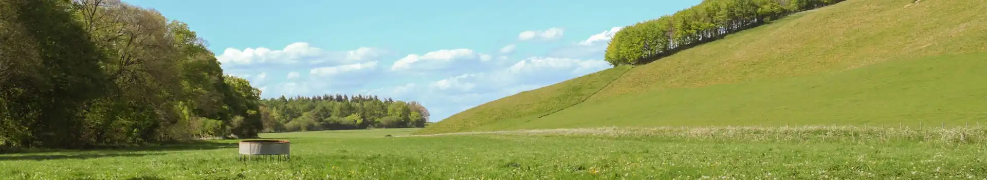Lambourn campsites