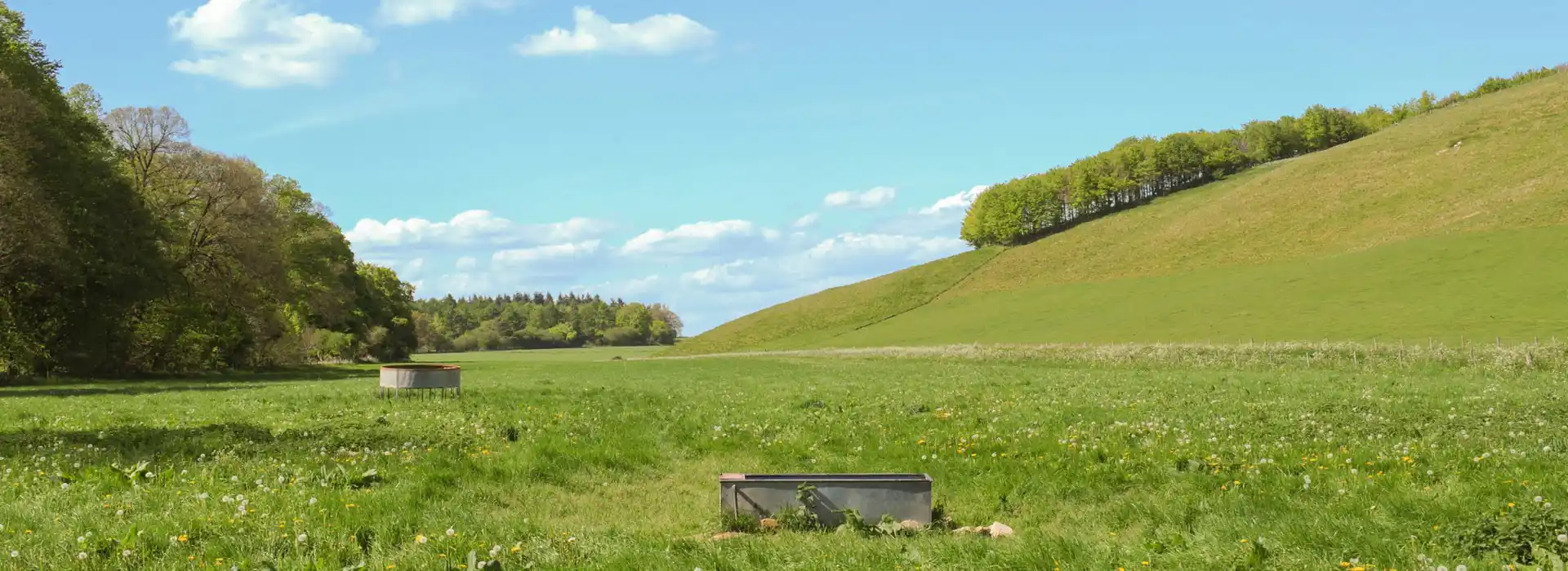 Lambourn campsites