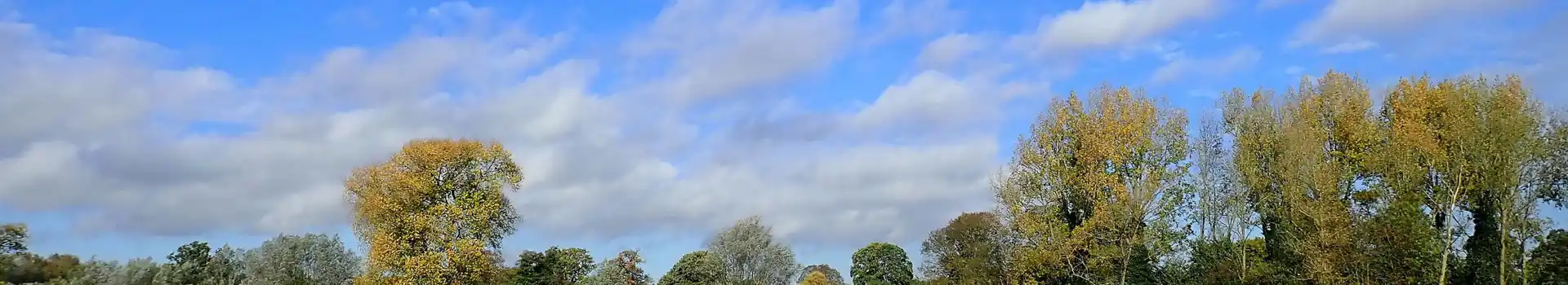 Aldenham campsites